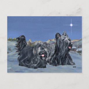 Carte Postale SKYE Terriers en soirée d'hiver