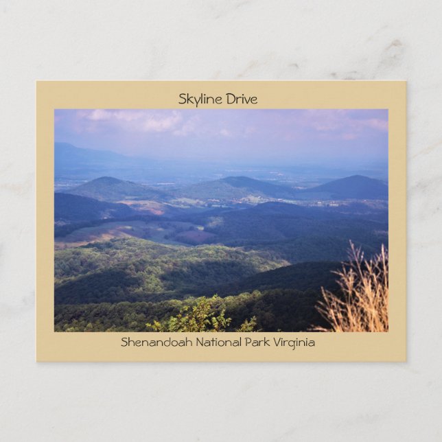 Carte Postale Skyline Drive Shenandoah (Devant)