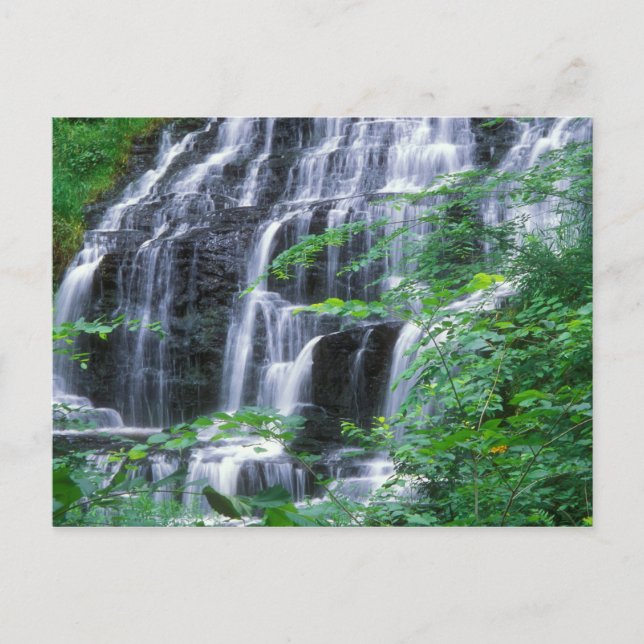 Carte Postale Slatestone Brook Falls Sunderland (Devant)