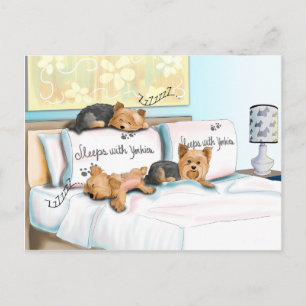 Carte Postale Sleeps with Yorkies by Catia Cho