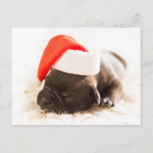 Carte Postale Sleepy Bulldog Puppy Noël