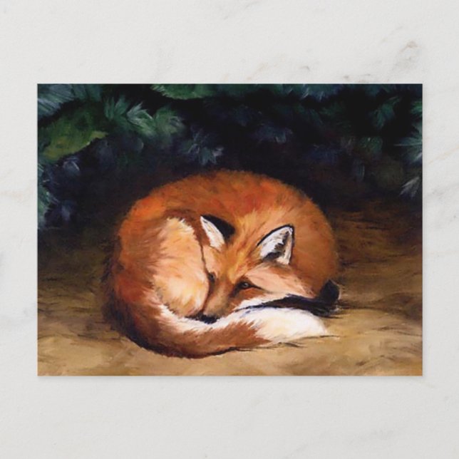 Carte postale Sleepy Red Fox Animal Art (Devant)