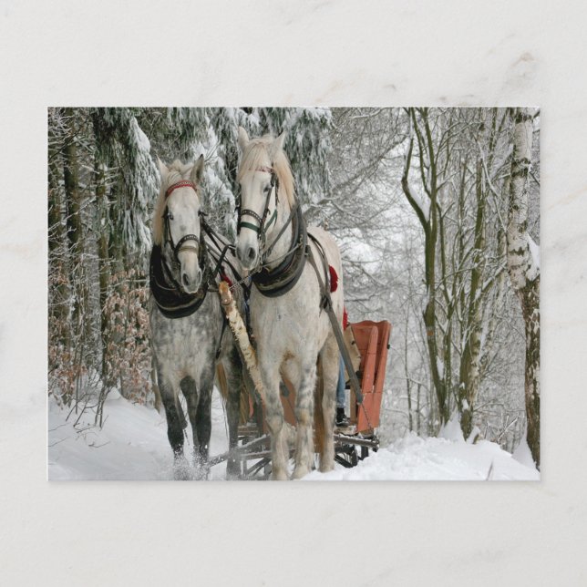 Carte Postale Sleigh Ride (Devant)