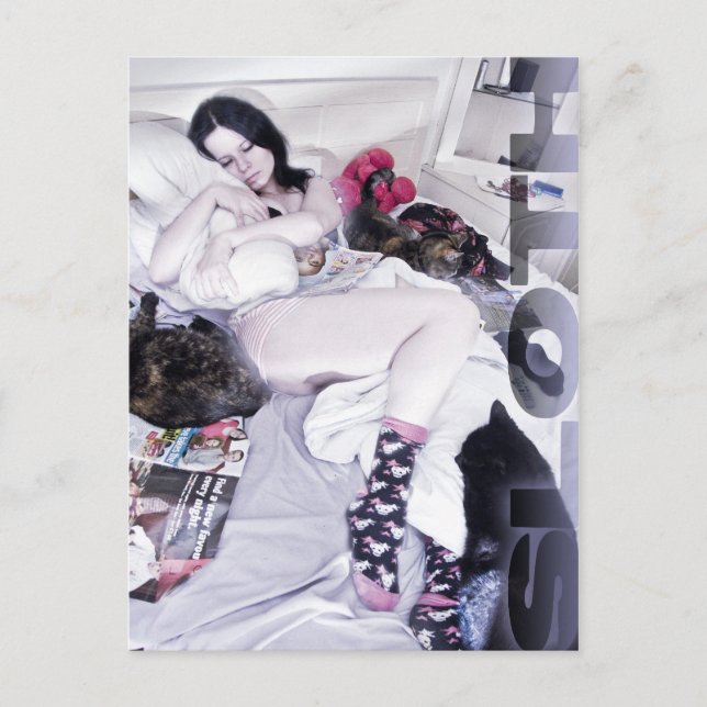 Carte Postale Sloth (Devant)