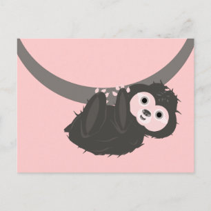 Carte Postale Sloth