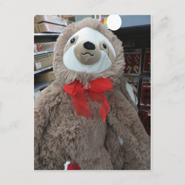 Carte Postale Sloth Christmas (Devant)