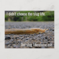 Carte postale Slug Life
