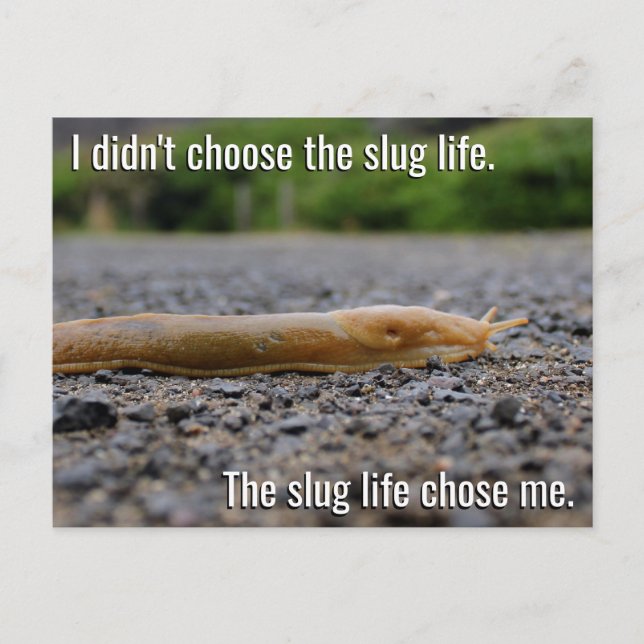 Carte postale Slug Life (Devant)