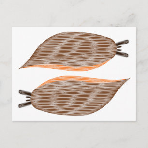 Carte postale Slugs
