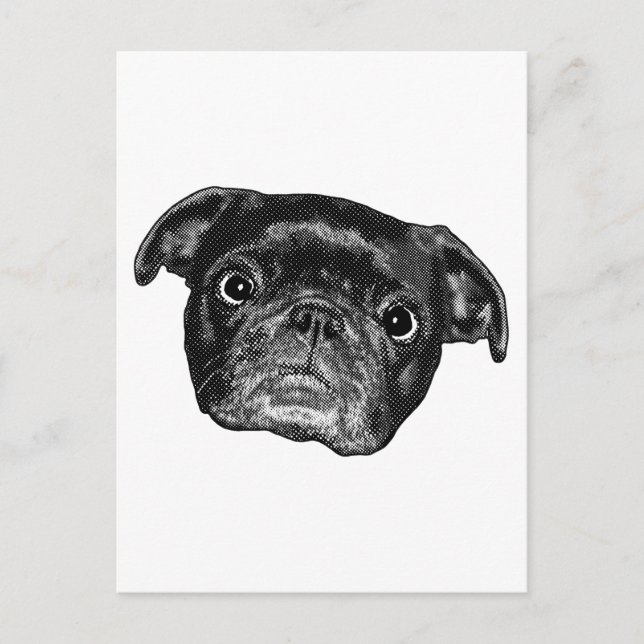 Carte Postale Smiling Pug Point Post (Devant)