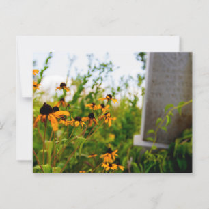Carte Postale Smith Cemetery Nature Preserve, Ohio