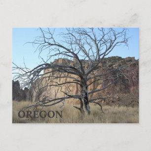 Carte Postale Smith Rock Rocks