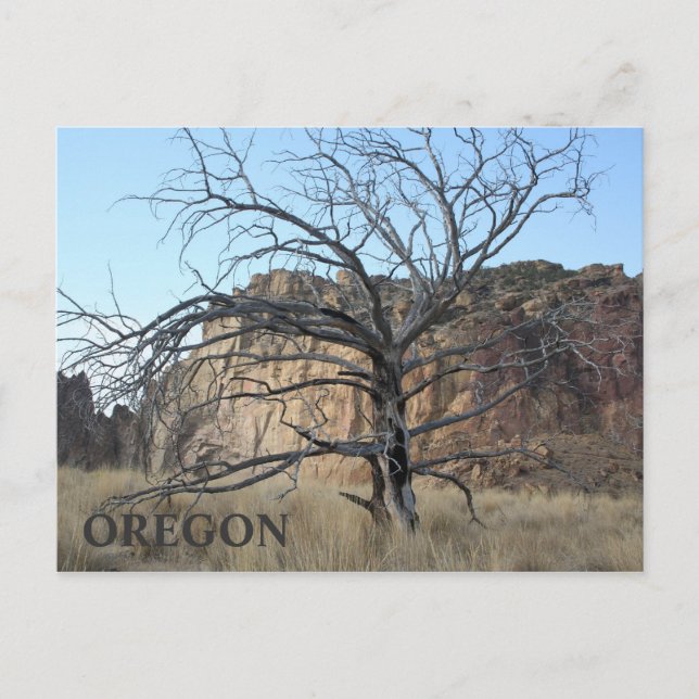 Carte Postale Smith Rock Rocks (Devant)