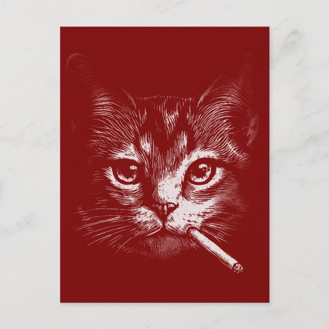 Carte Postale Smoking Cat Funny  (Devant)