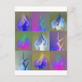 Carte Postale Snail Pop Art