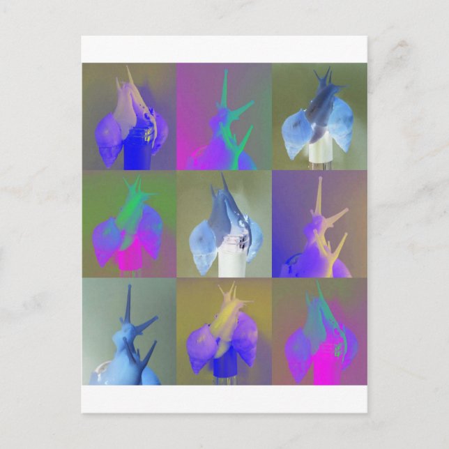Carte Postale Snail Pop Art (Devant)