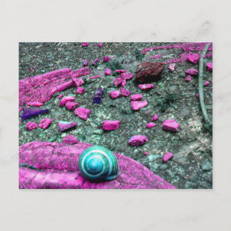 Carte postale "SnailShell"