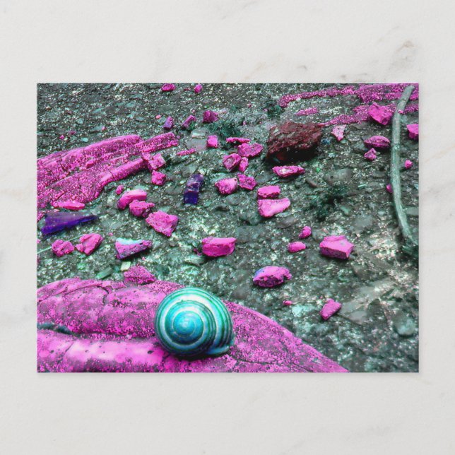 Carte postale "SnailShell" (Devant)
