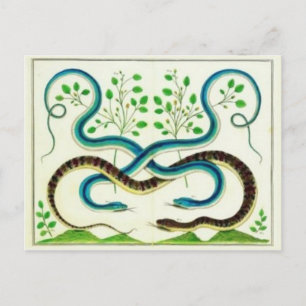 Carte postale Snakes