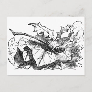 Carte Postale Snap Dragon Fly