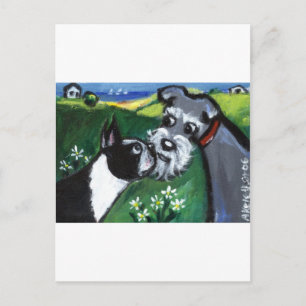 Carte Postale snif de Boston Terrier & Schnauzer