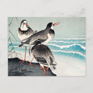 Carte Postale Snipes at the Shore, art raffiné d'Ohara Koson