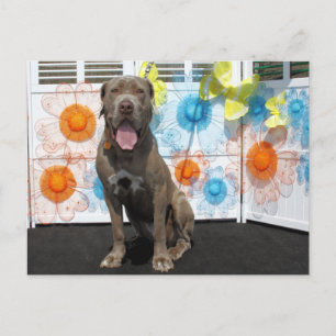 Carte Postale Snoop - Neopolitan Mastiff -3