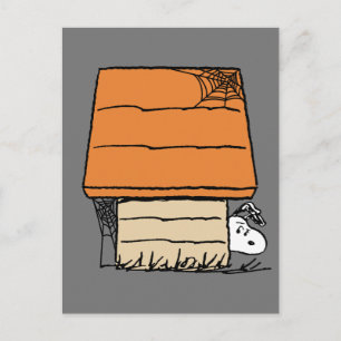 Carte Postale Snoopy Halloween Spider Web Doghouse