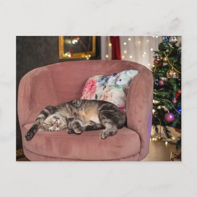 Carte Postale Snooze de Noël Tabby Cat (Devant)