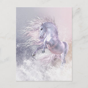 Carte postale Snow Ghost