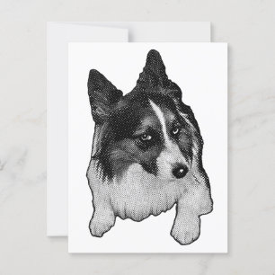 Carte postale Snow-Path