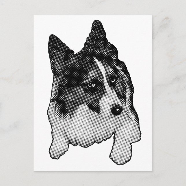 Carte postale Snow-Path (Devant)