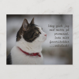 Carte Postale Snow Slush CC0381 Cat Thoughts
