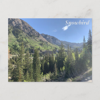 Carte Postale Snowbird - été
