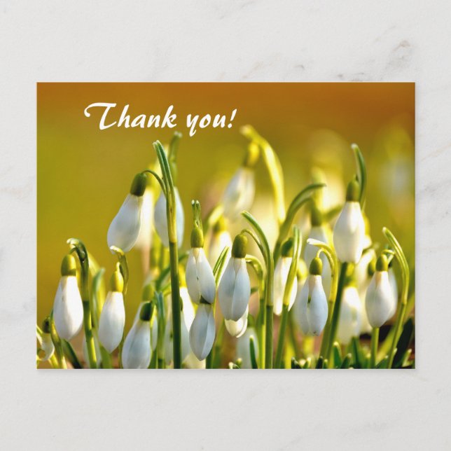 Carte Postale Snowdrops Merci (Devant)