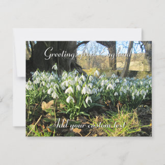 Carte Postale Snowdrops Under a Yew Tree - Personnalisé