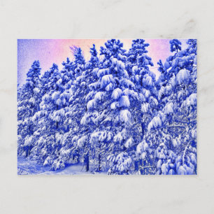 Carte Postale Snowscape, Conifer, CO