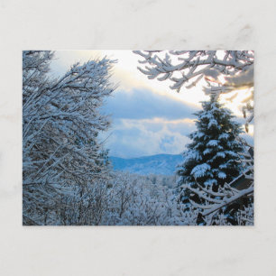 Carte Postale Snowy Colorado