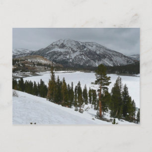 Carte Postale Snowy Ellery Lake California Paysage hivernal