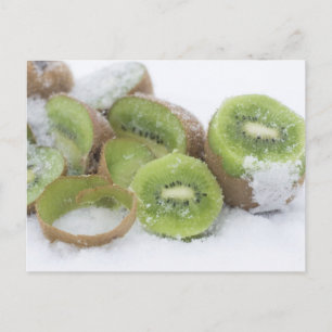 Carte Postale Snowy Kiwi