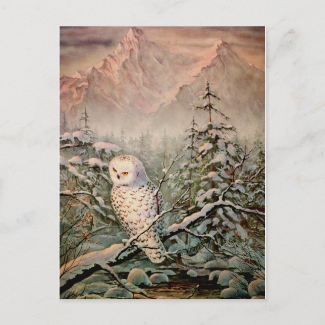 Carte Postale SNOWY OWL par SHARON SHARPE (Devant)