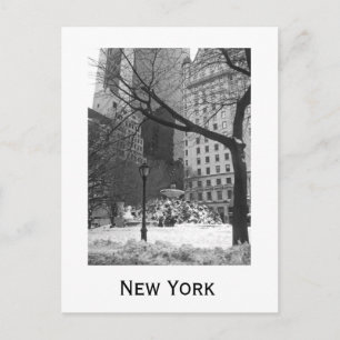 Carte Postale Snowy Park à New York