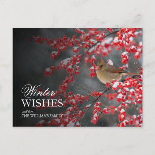 Carte Postale Snowy Scene avec Cardinal et Winterberry