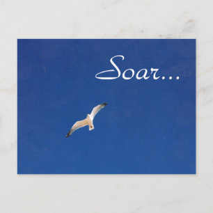 Carte Postale Soar