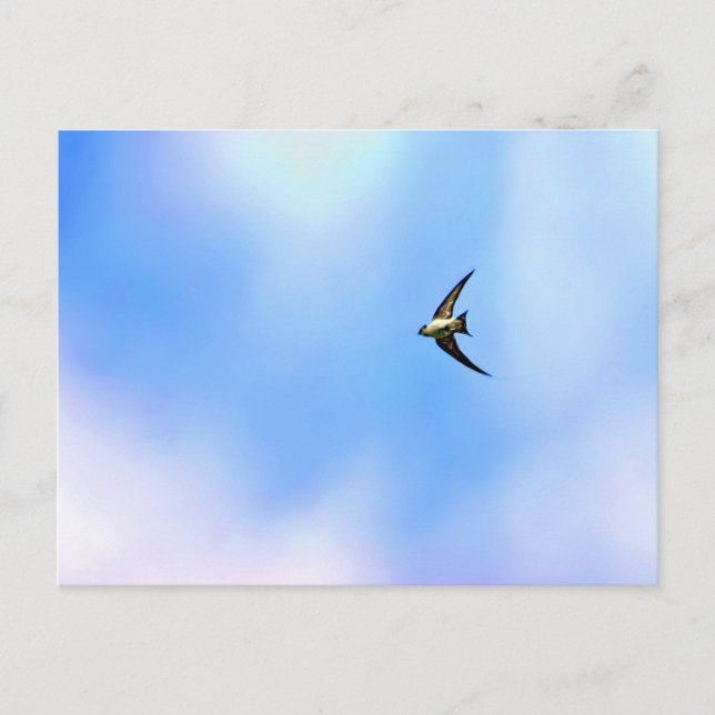 Carte Postale Soar (Devant)