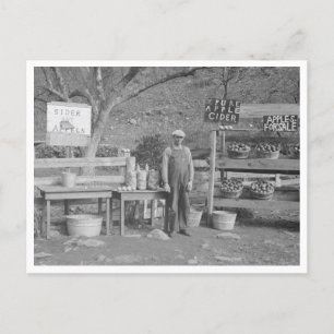 Carte Postale socle cidre et pomme