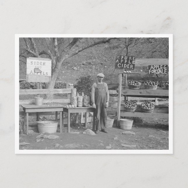 Carte Postale socle cidre et pomme (Devant)