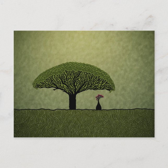 Carte Postale Socotra (Devant)