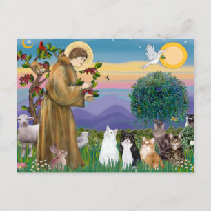 Carte Postale Soeur Frances Bénir 5 chats