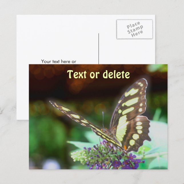 Carte Postale Soft Butterfly On Flower Nature Photo Personalized (Devant / Derrière)